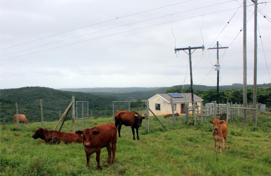 Commercial Property for Sale in East London Rural Eastern Cape